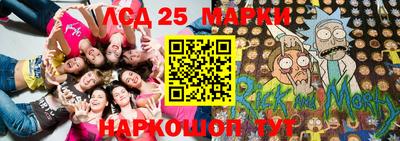 apvp Канаш