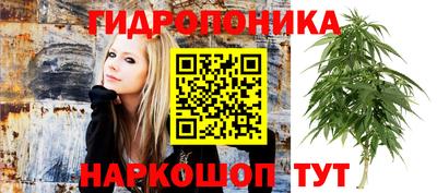 apvp Канаш
