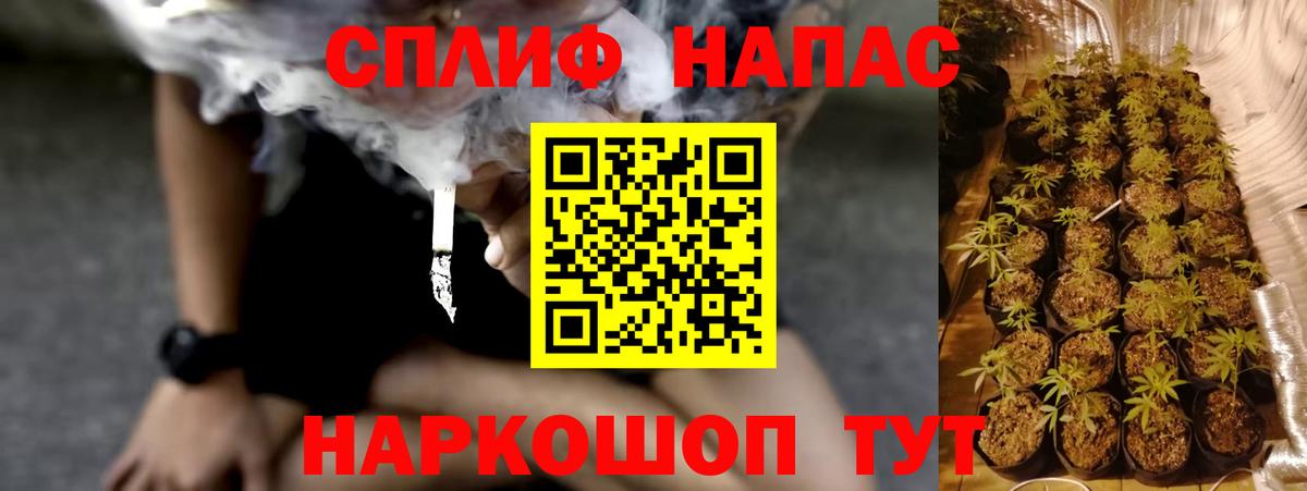 Конопля индика  Каннабис White Widow  Каннабис SATIVA & INDICA  Вход с VPN  Выборг 
